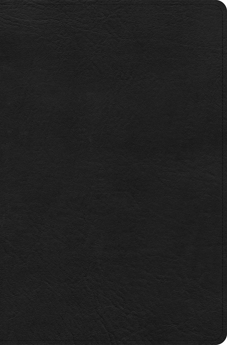 CSB Connecting Scripture New Testament, Black Genuine Leather