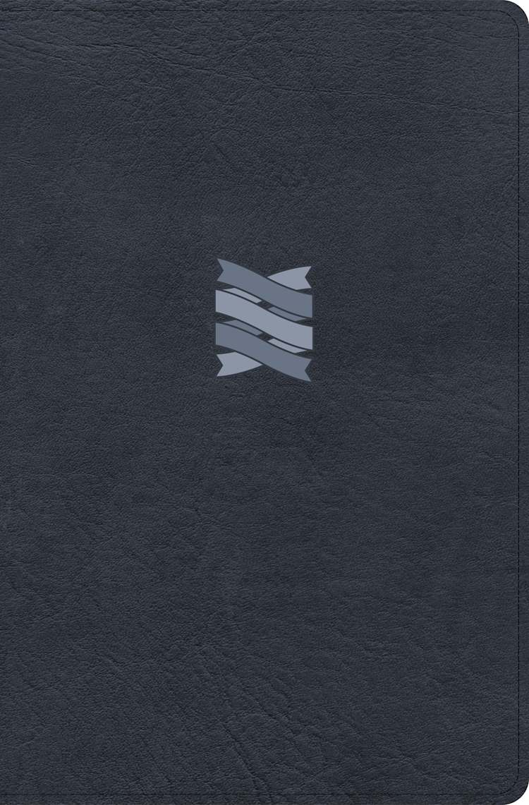 CSB Connecting Scripture New Testament, Slate LeatherTouch