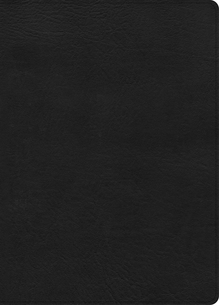 CSB Study Bible, Large Print, Digital Study Edition, Black LeatherTouch, Indexed