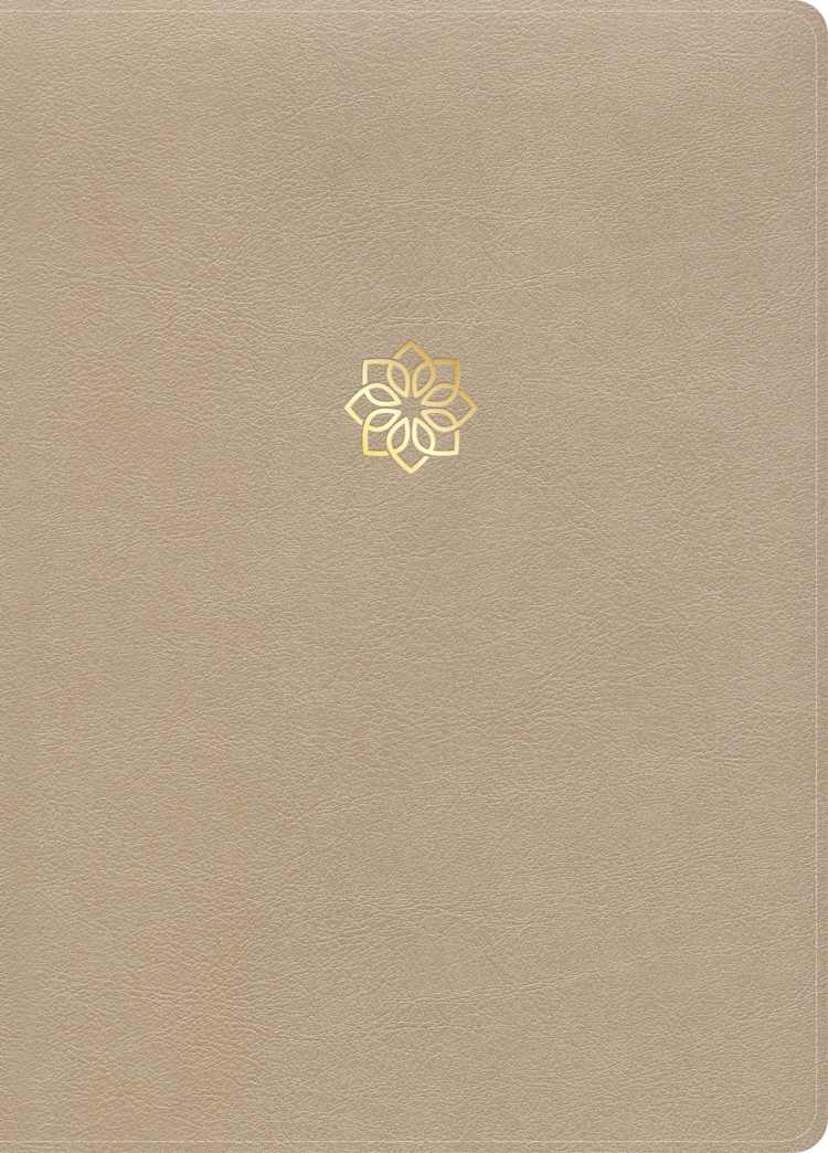 CSB Study Bible, Large Print, Digital Study Edition, Gold LeatherTouch, Indexed
