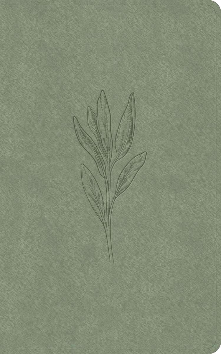 KJV Single-Column Personal Size Bible, Sage SuedeSoft LeatherTouch