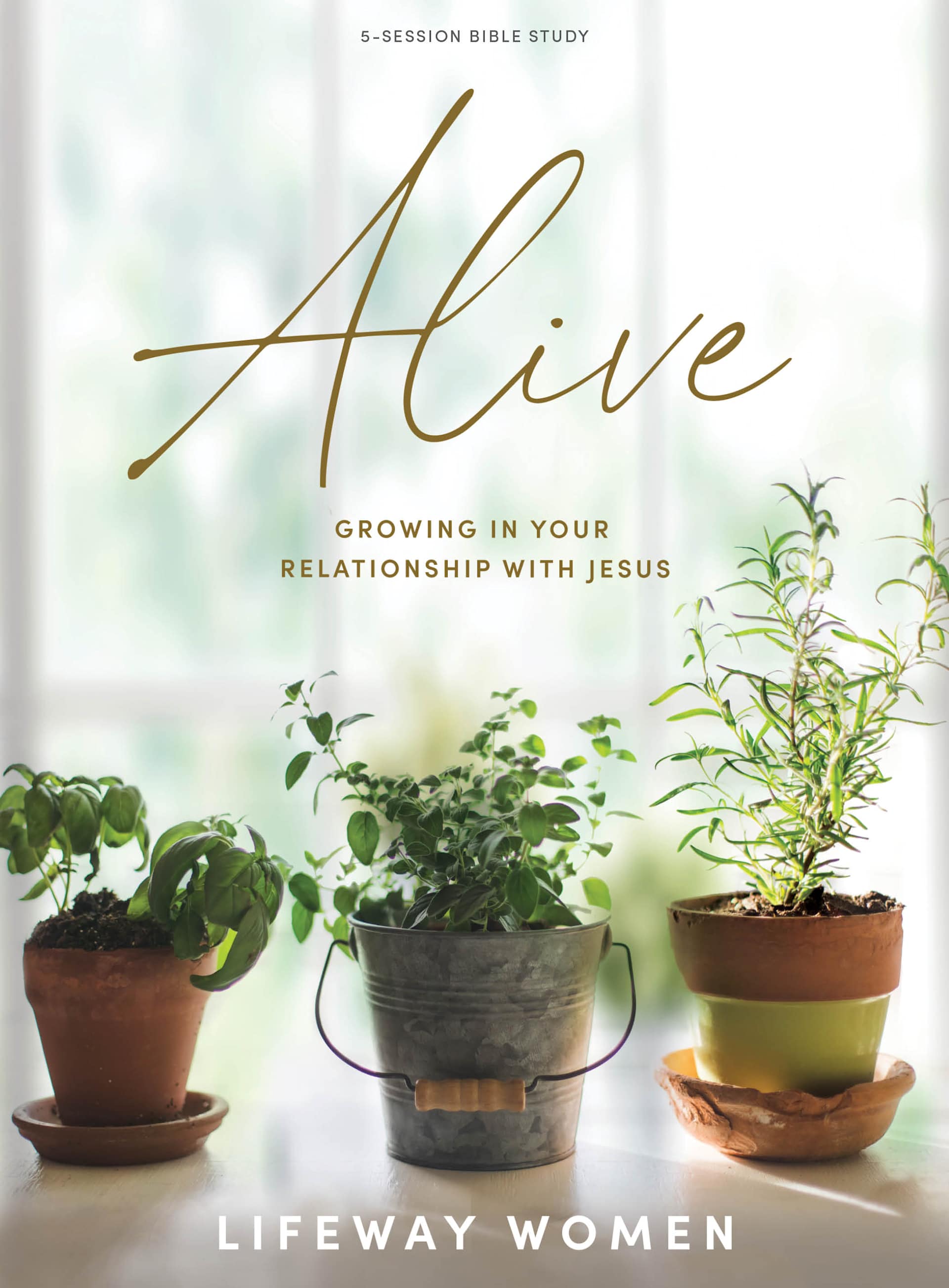 Womens Bible study guide cover, Alive 6 Sessions Bible Study by Lifeway Women