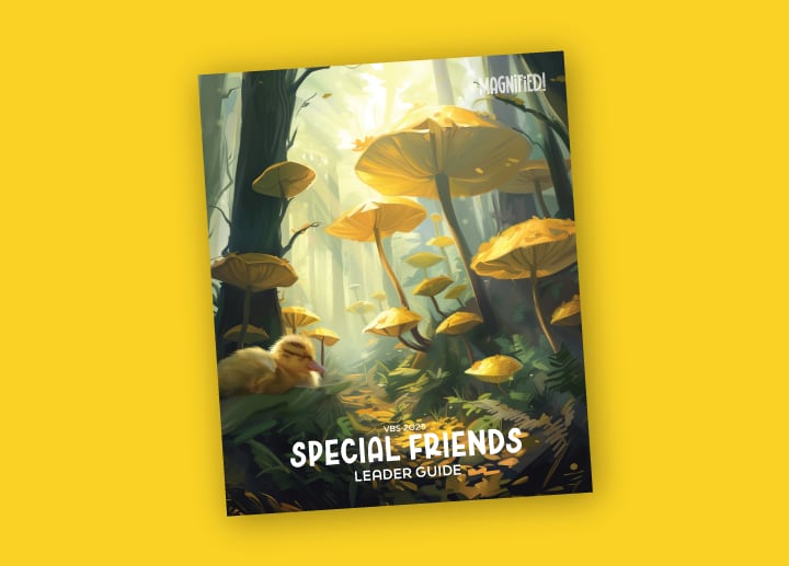 VBS Special Friends Book