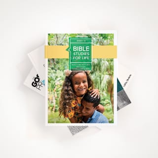 Stack of Bible study booklets with 'Bible Studies for Life' on top