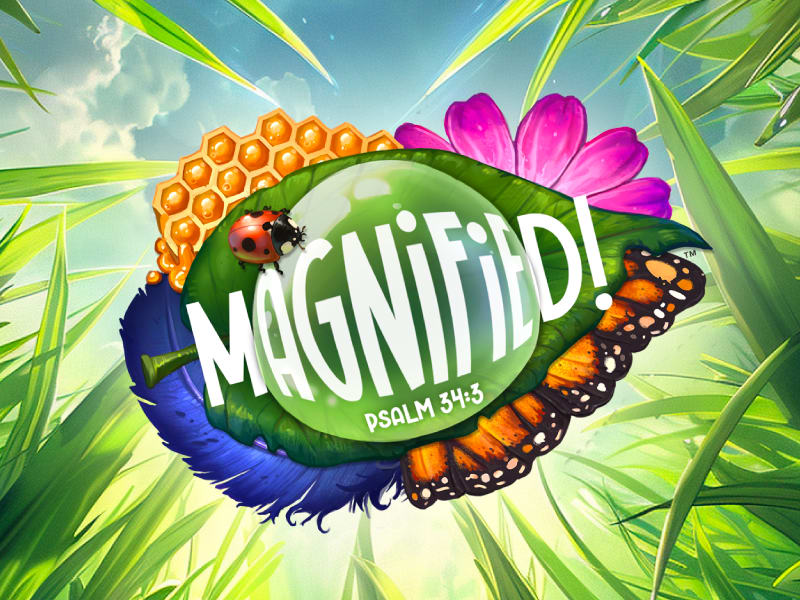 Magnified! VBS