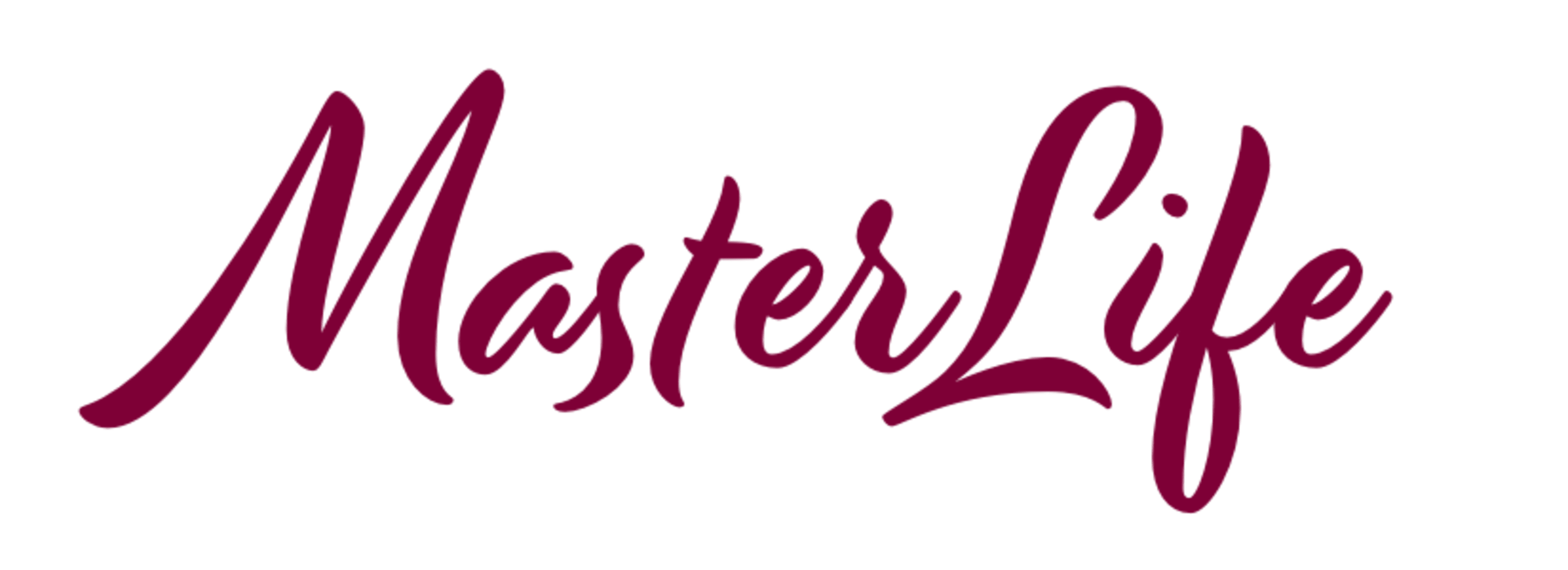 MasterLife Bible Study