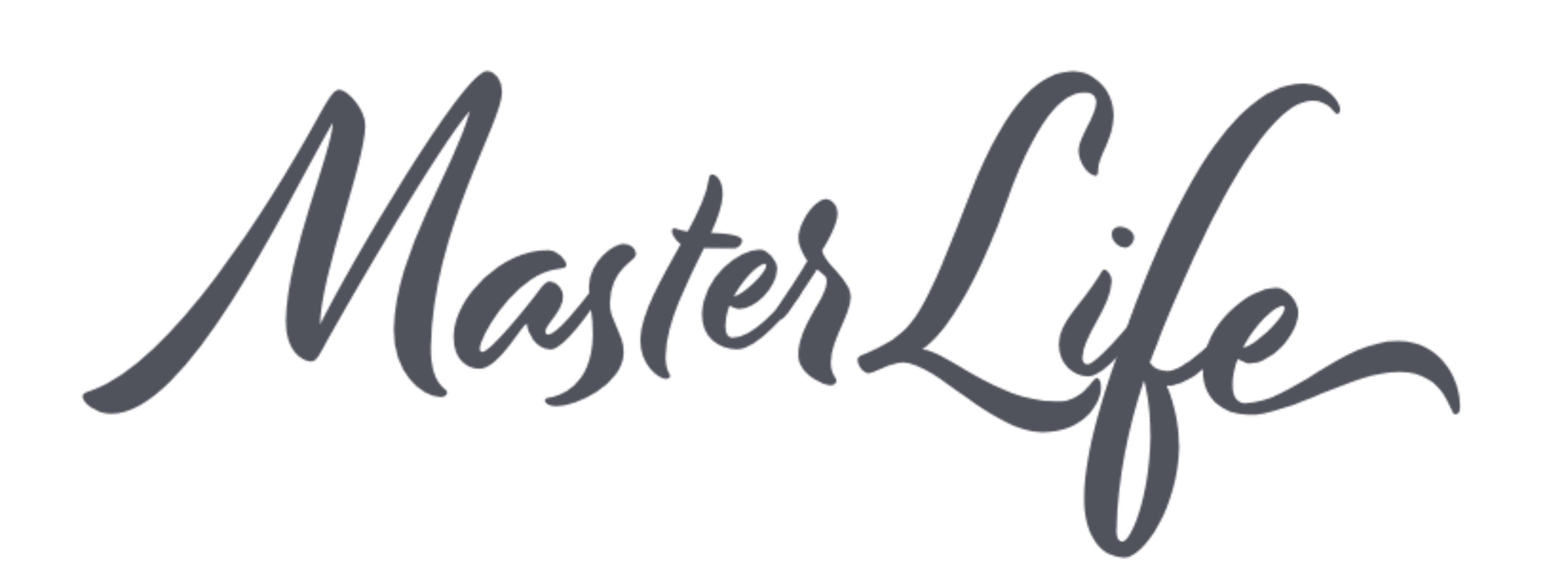 MasterLife Bible Study