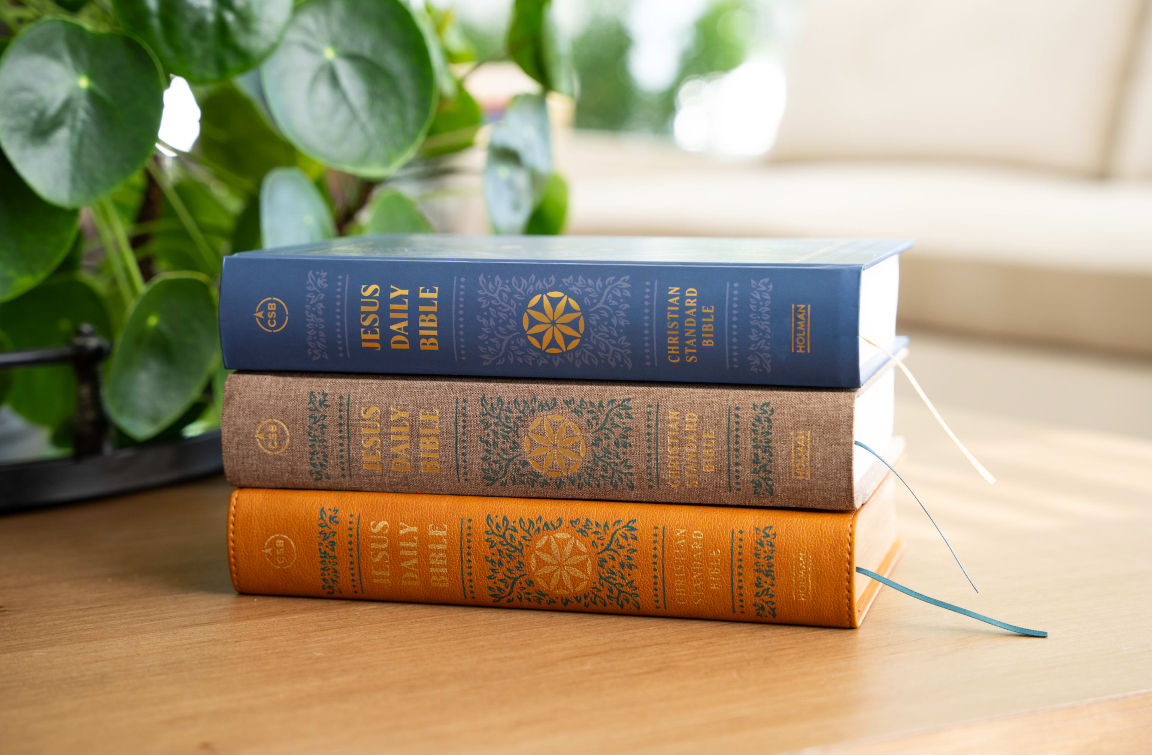 Stack of Bibles