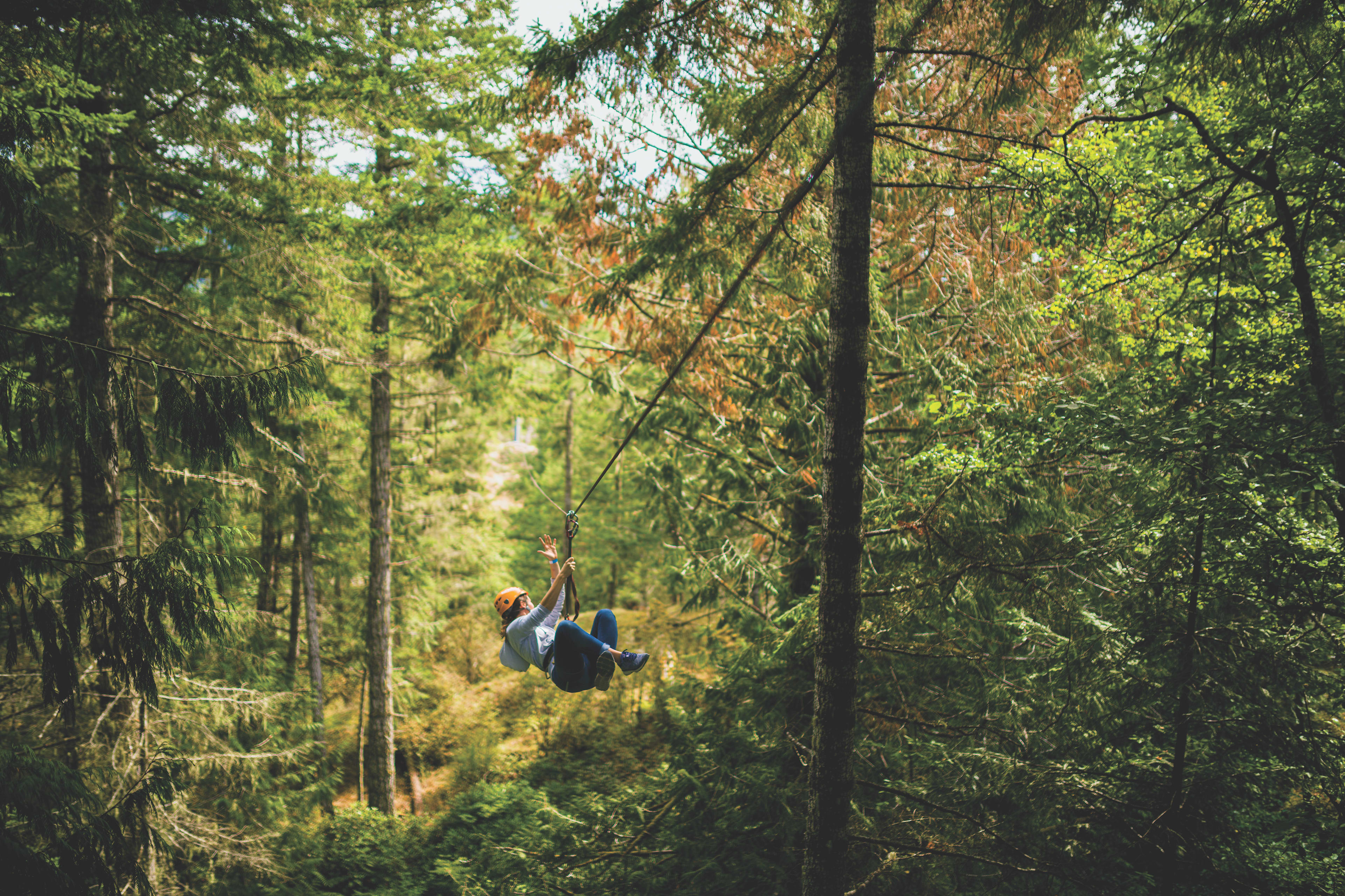Lady on a zip line in the middle of tall pine trees