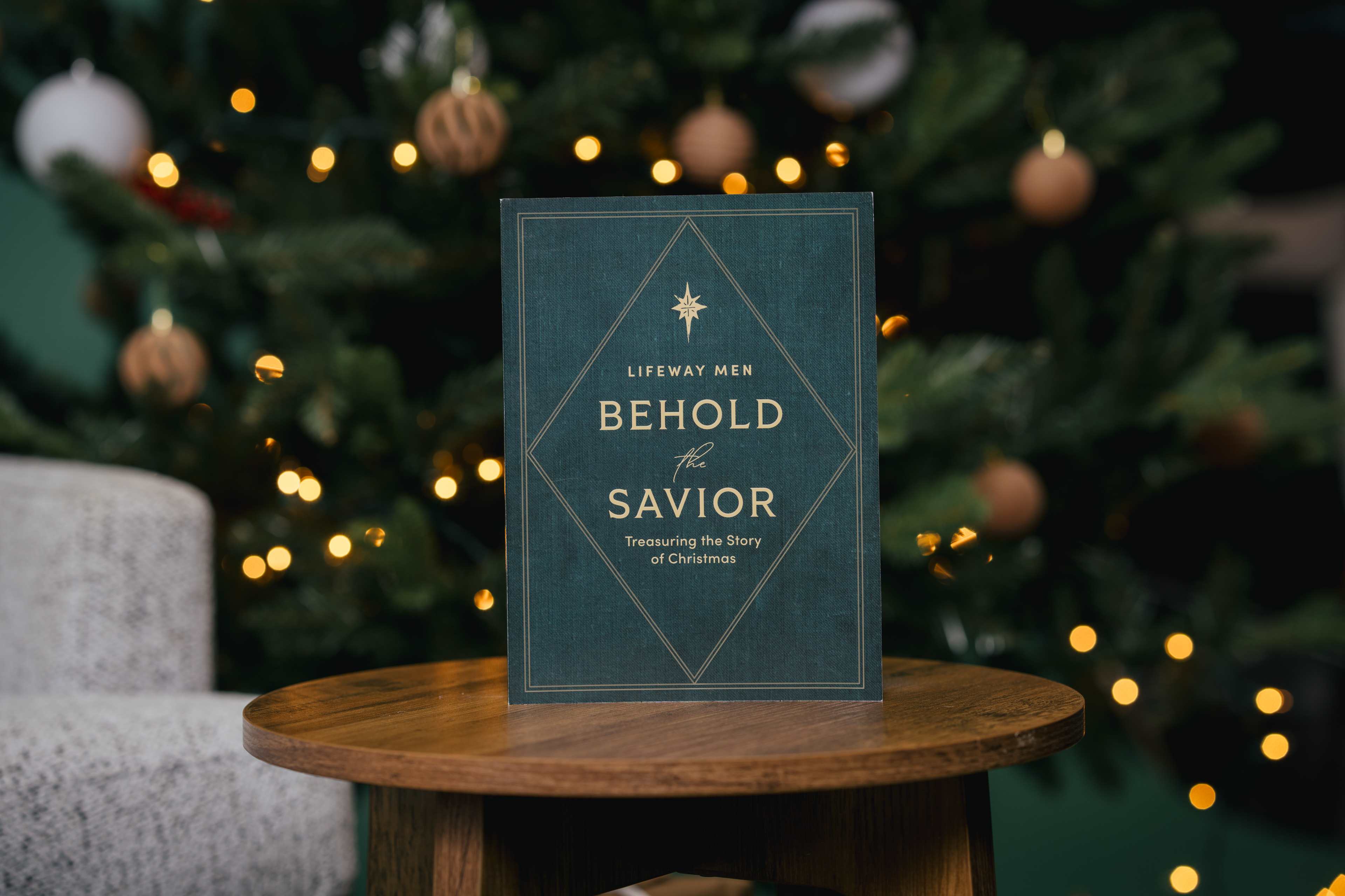 Behold the Savior Bible Study - Men