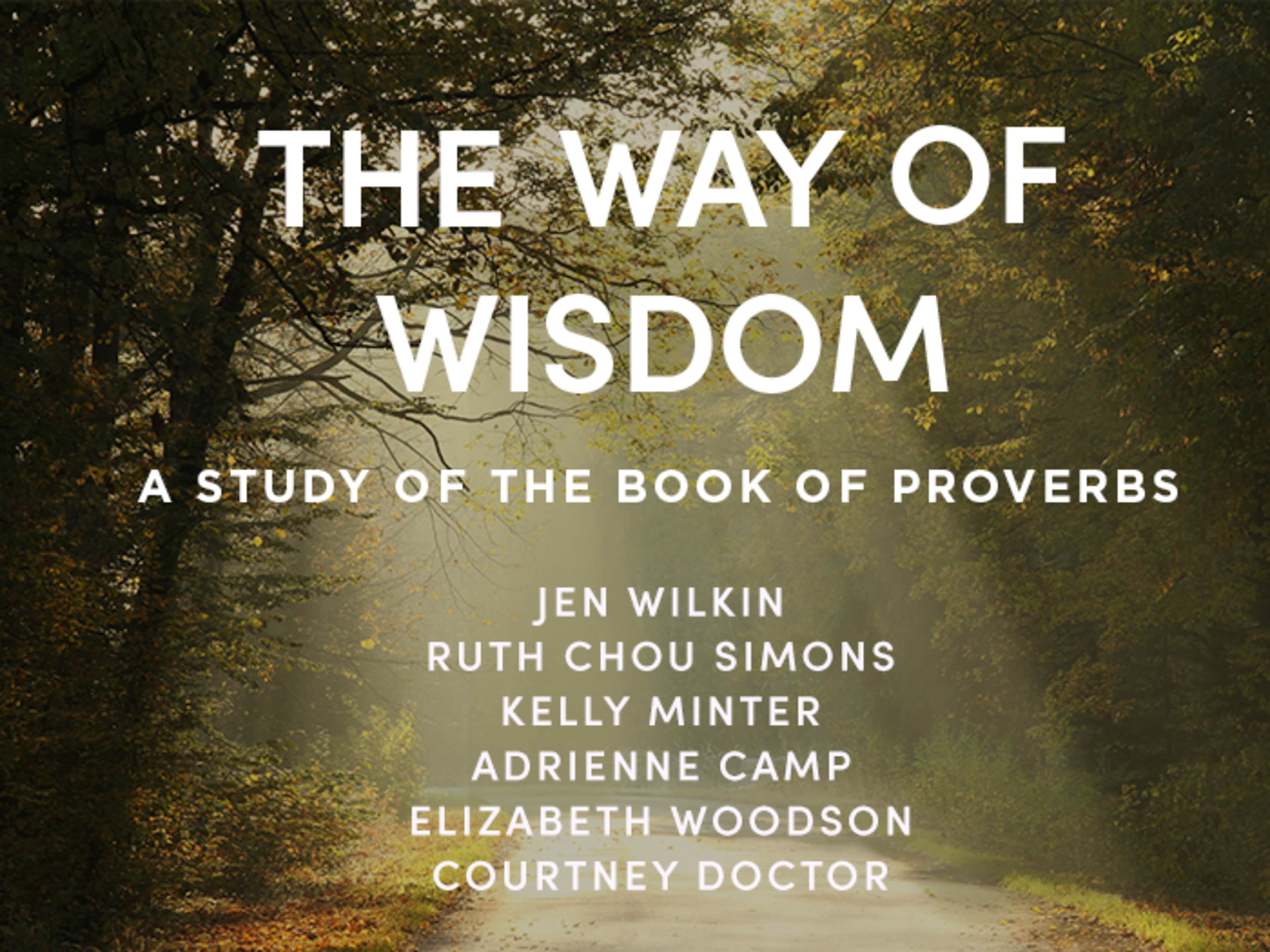 The Way of Wisdom book cover with author names.