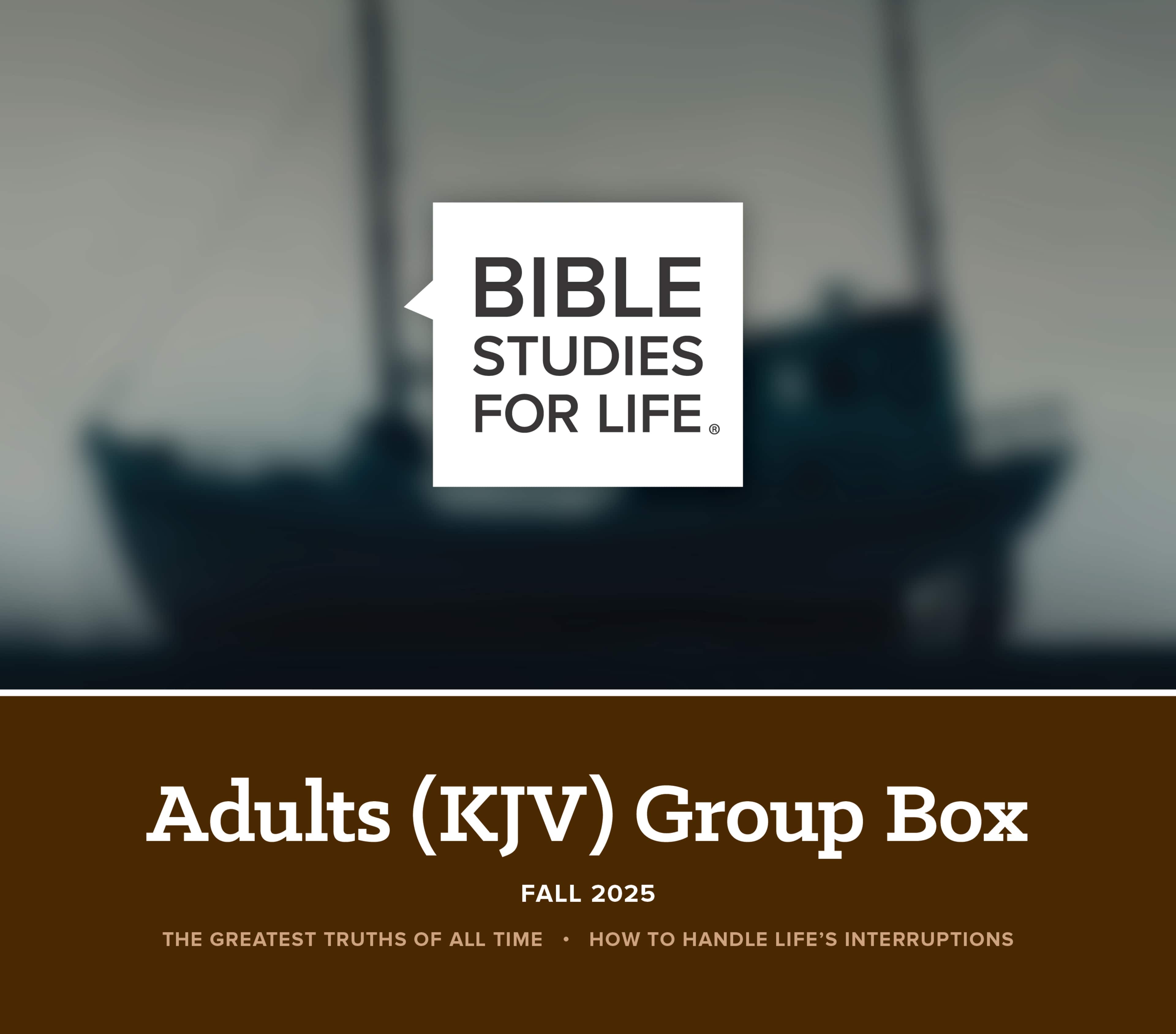Adult KJV box