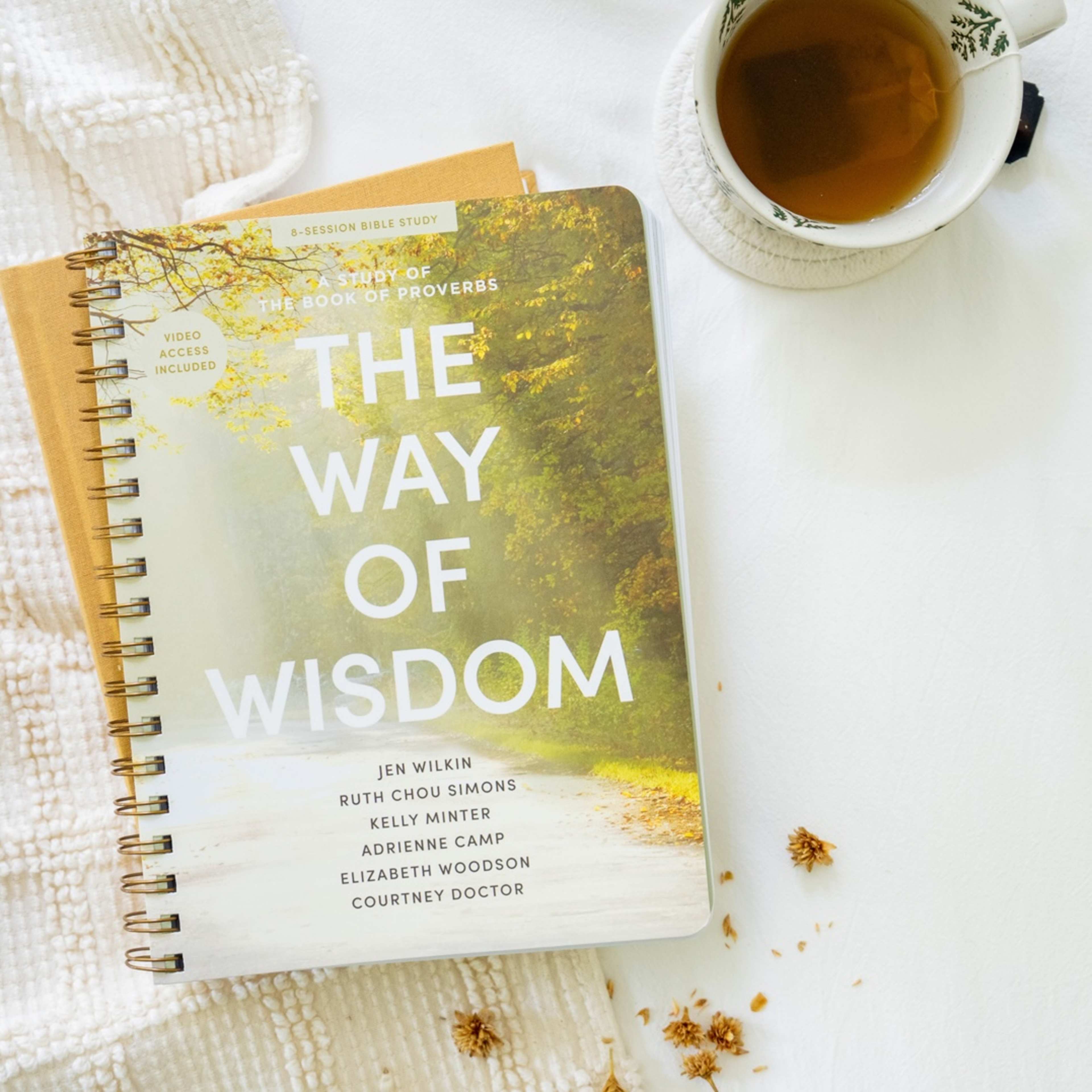 Way of Wisdom cover
