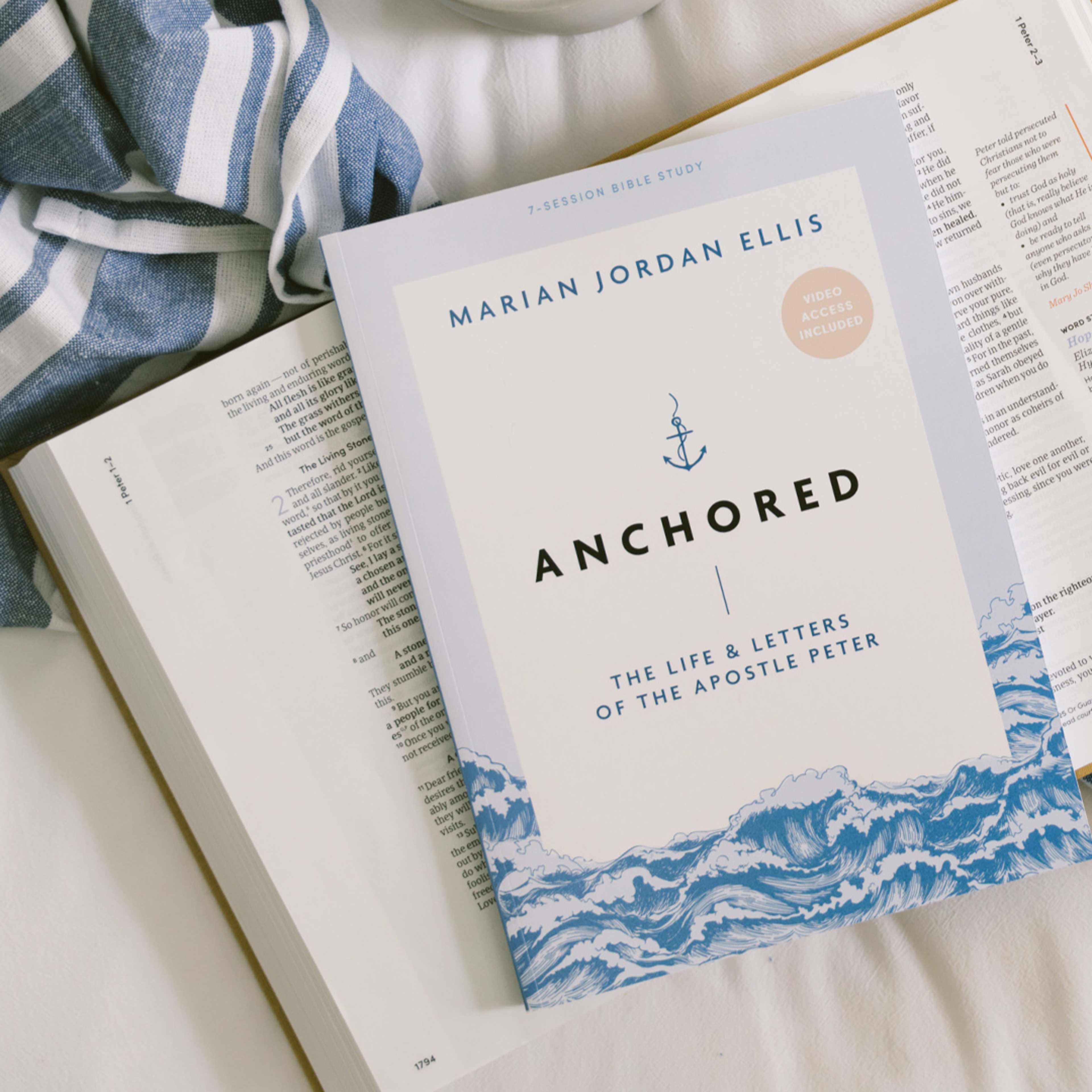 Anchored Bible Study cover