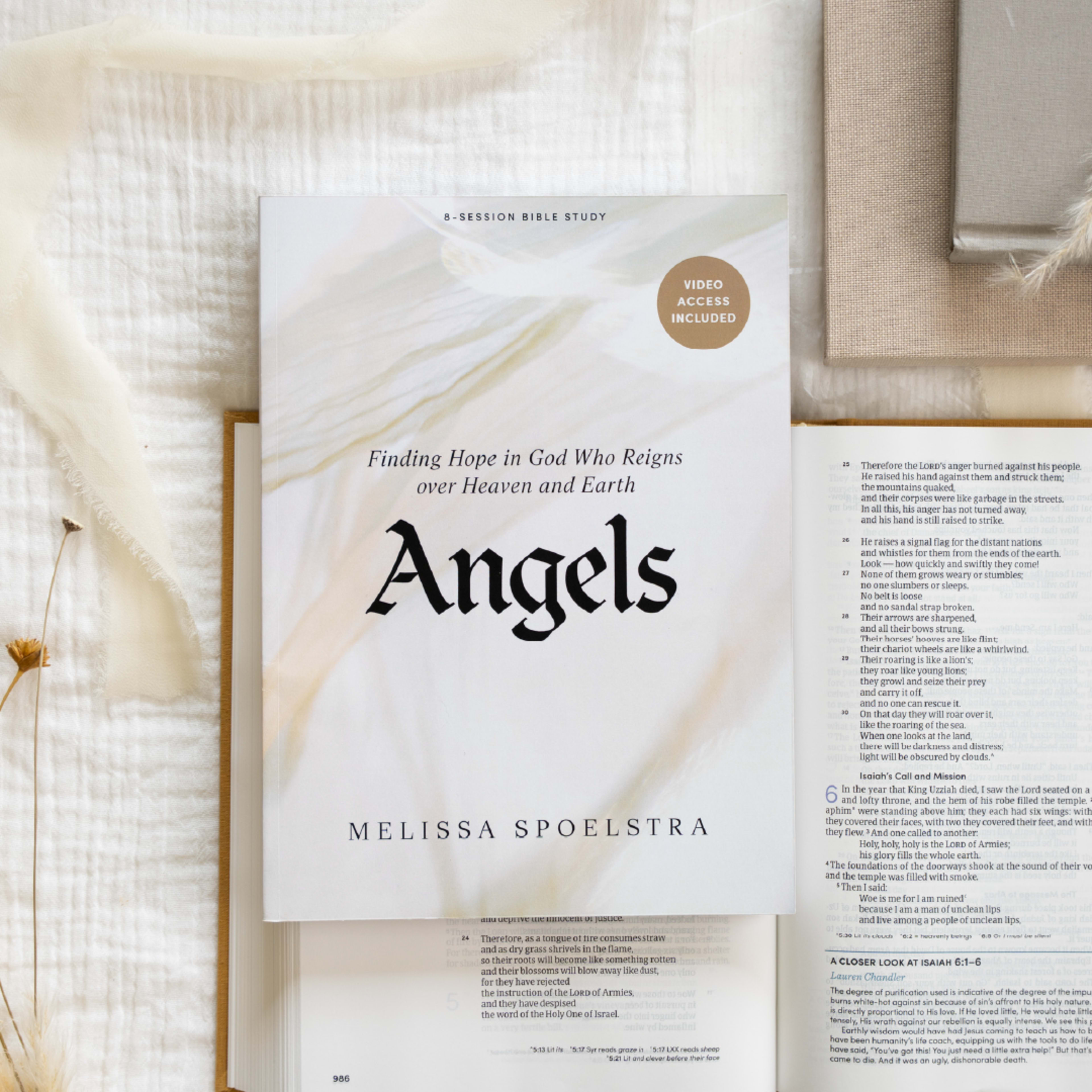 Angels Bible study cover