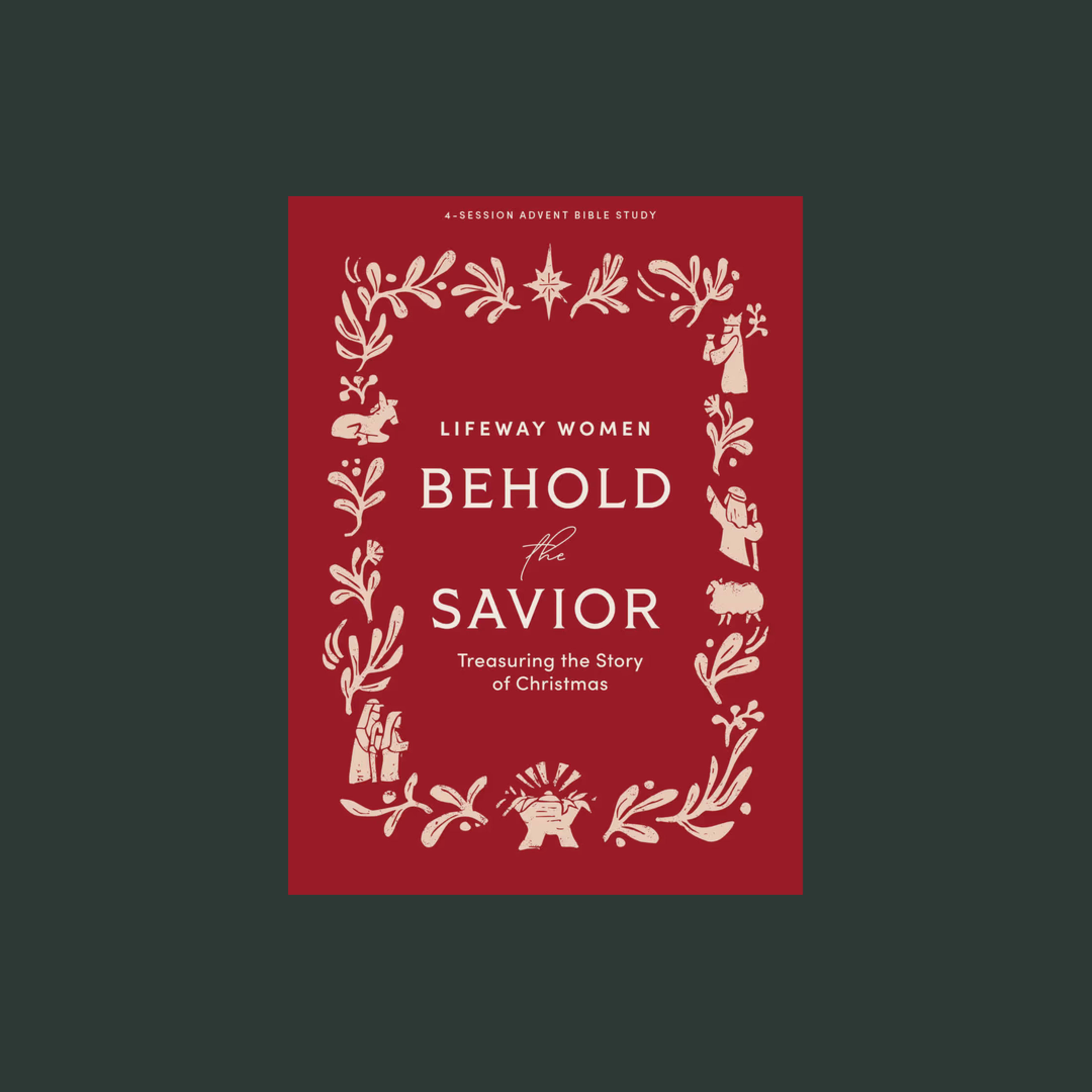 Behold the Savior Bible Study cover image 