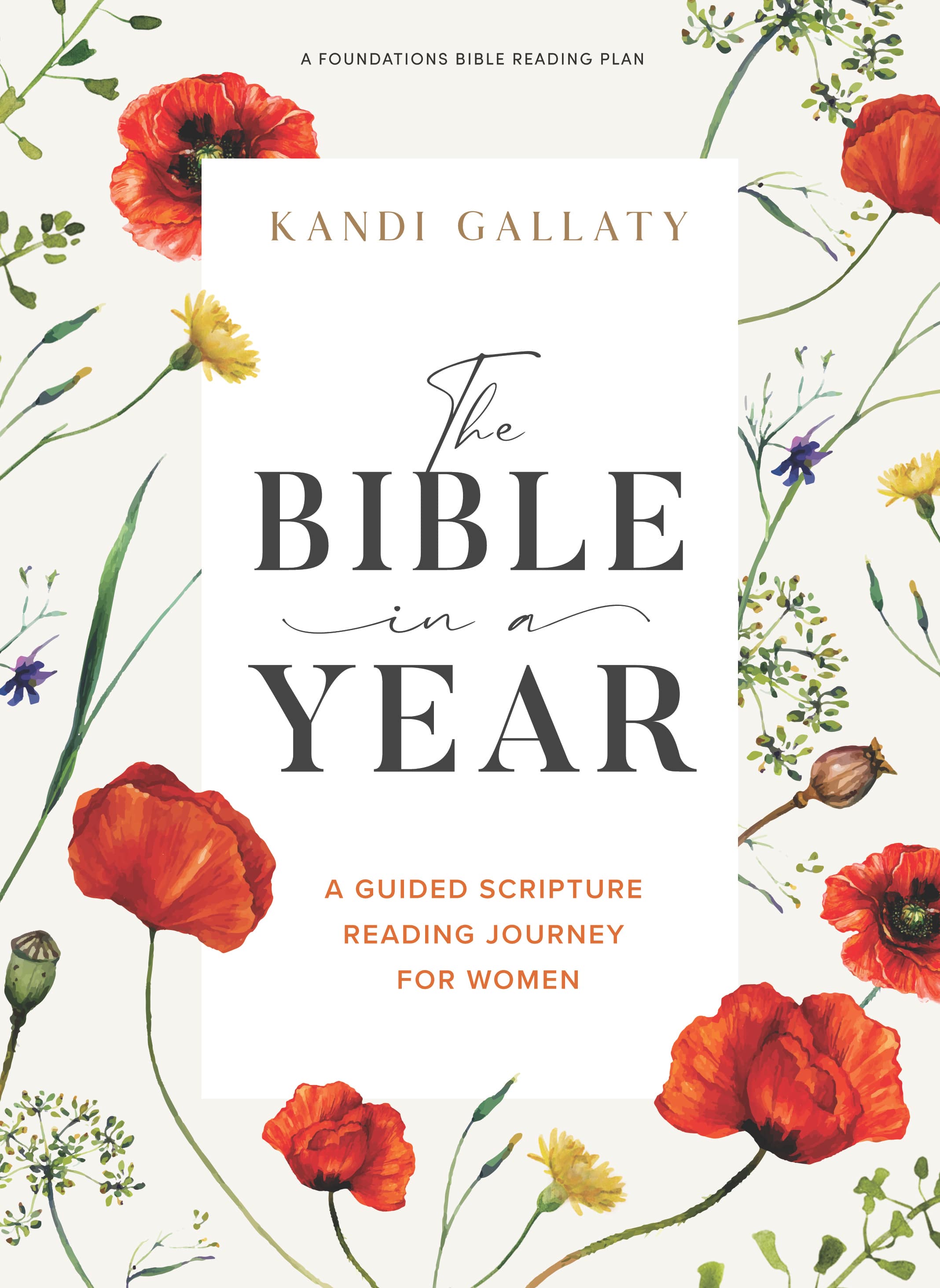 Book cover of The Bible in a Year by Kandi Gallaty