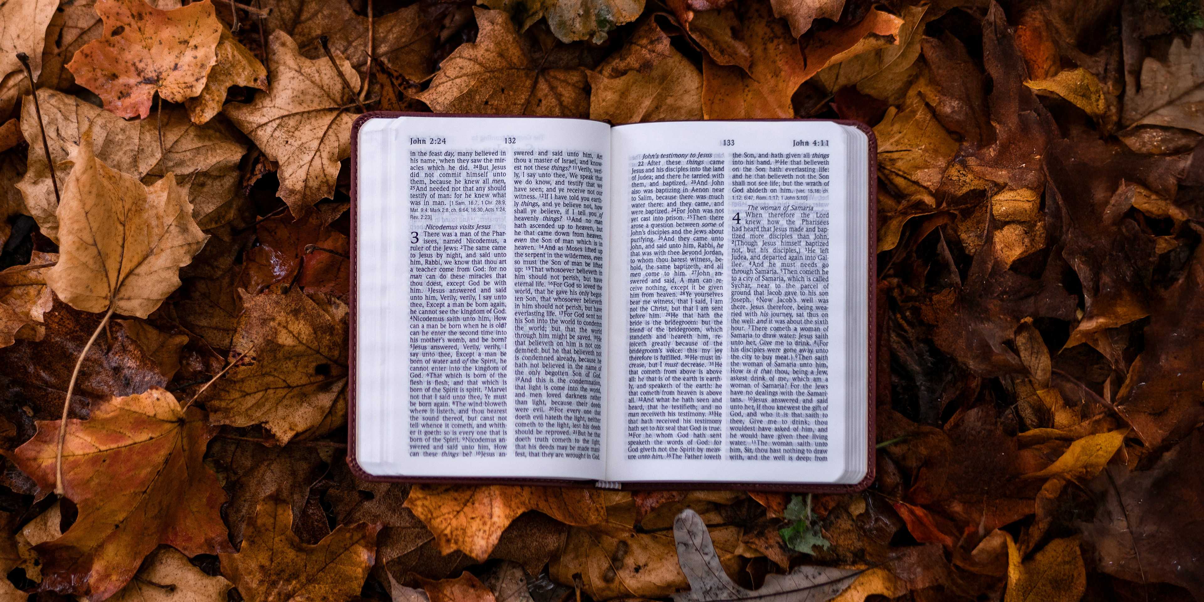 bible on fall leaves