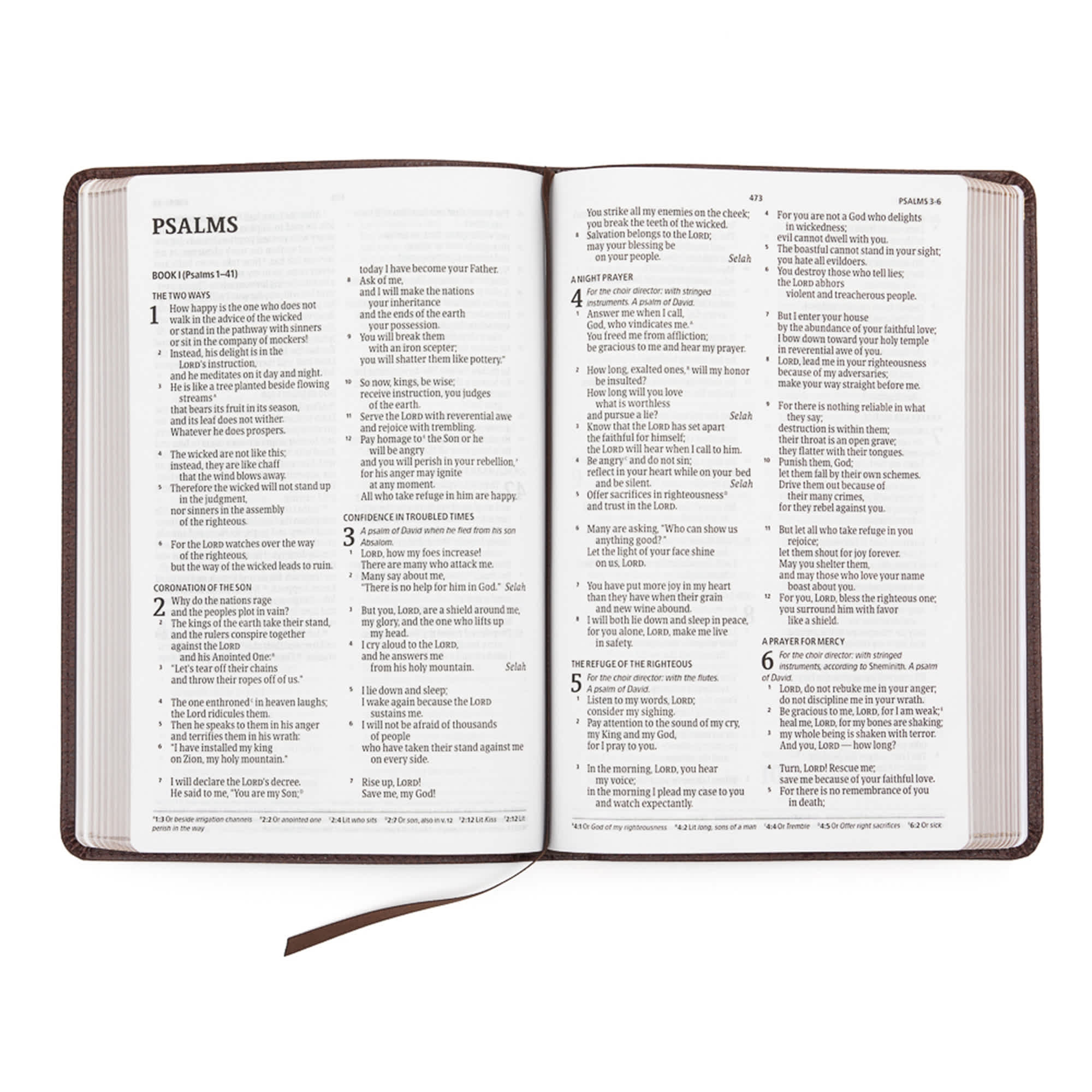Open large print Bible displaying the Psalms.