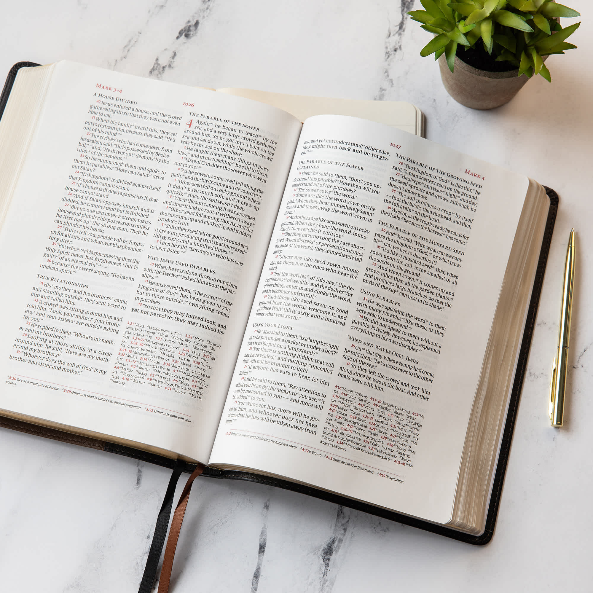 An open Bible on a marble surface with a plant and pen placed next to it.