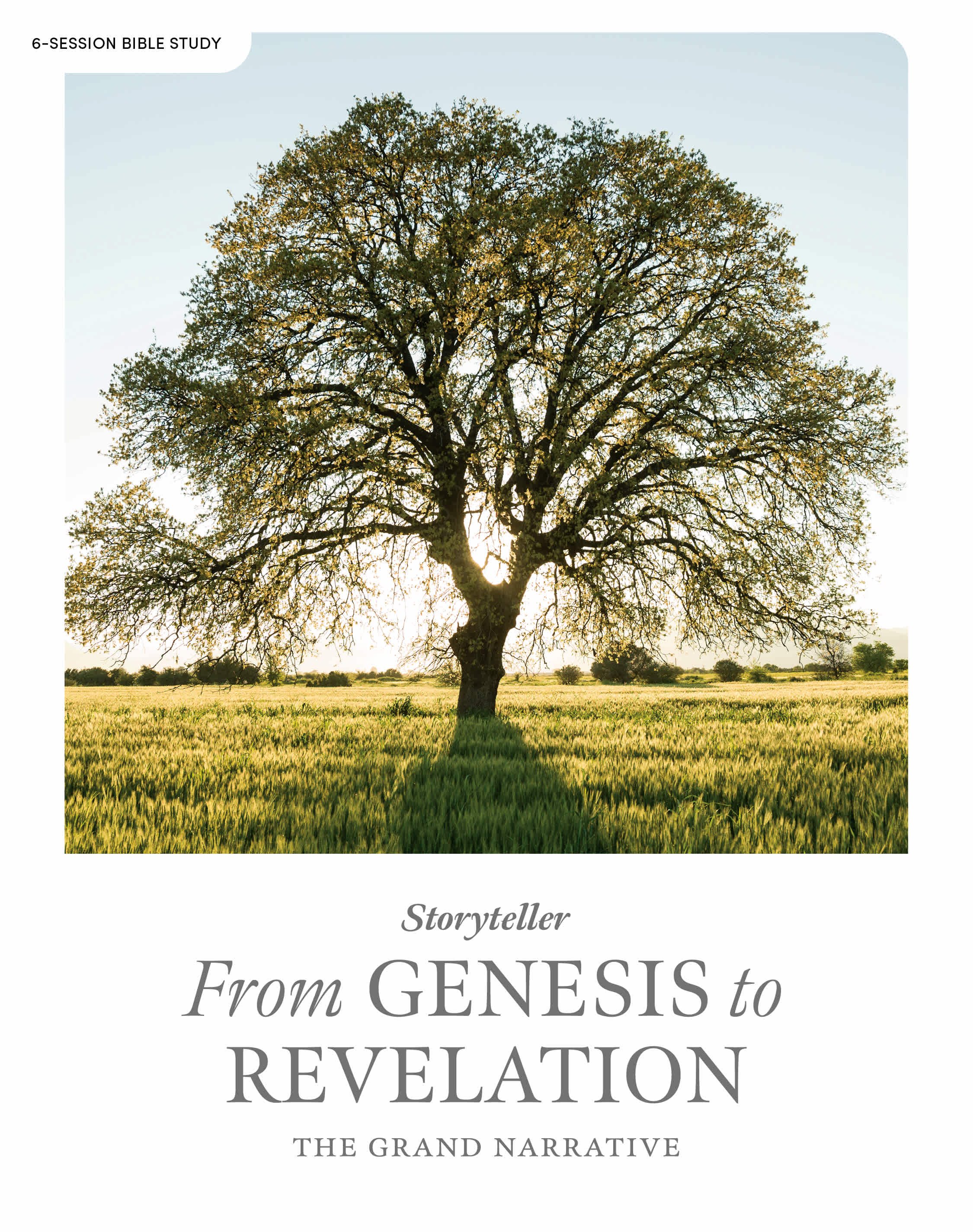 Genesis to Revelation - Storyteller - Bible Study Book Cover Image
