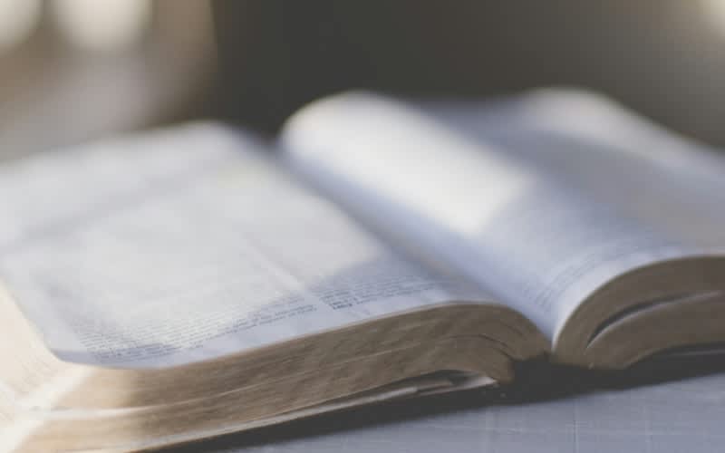 Bible opened