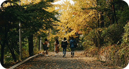 Four people walking on a trail with fall foliage on trees on both sides
