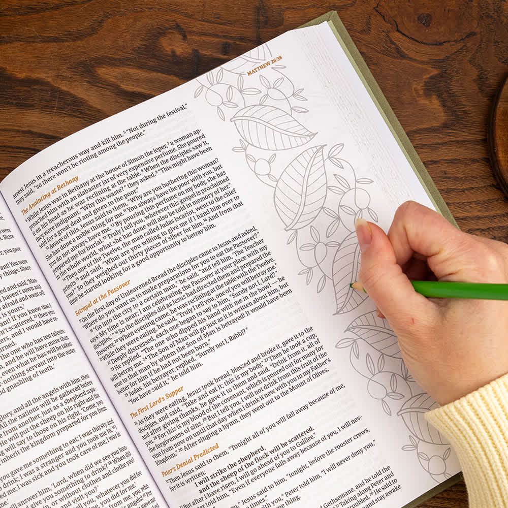 Journaling Bibles
