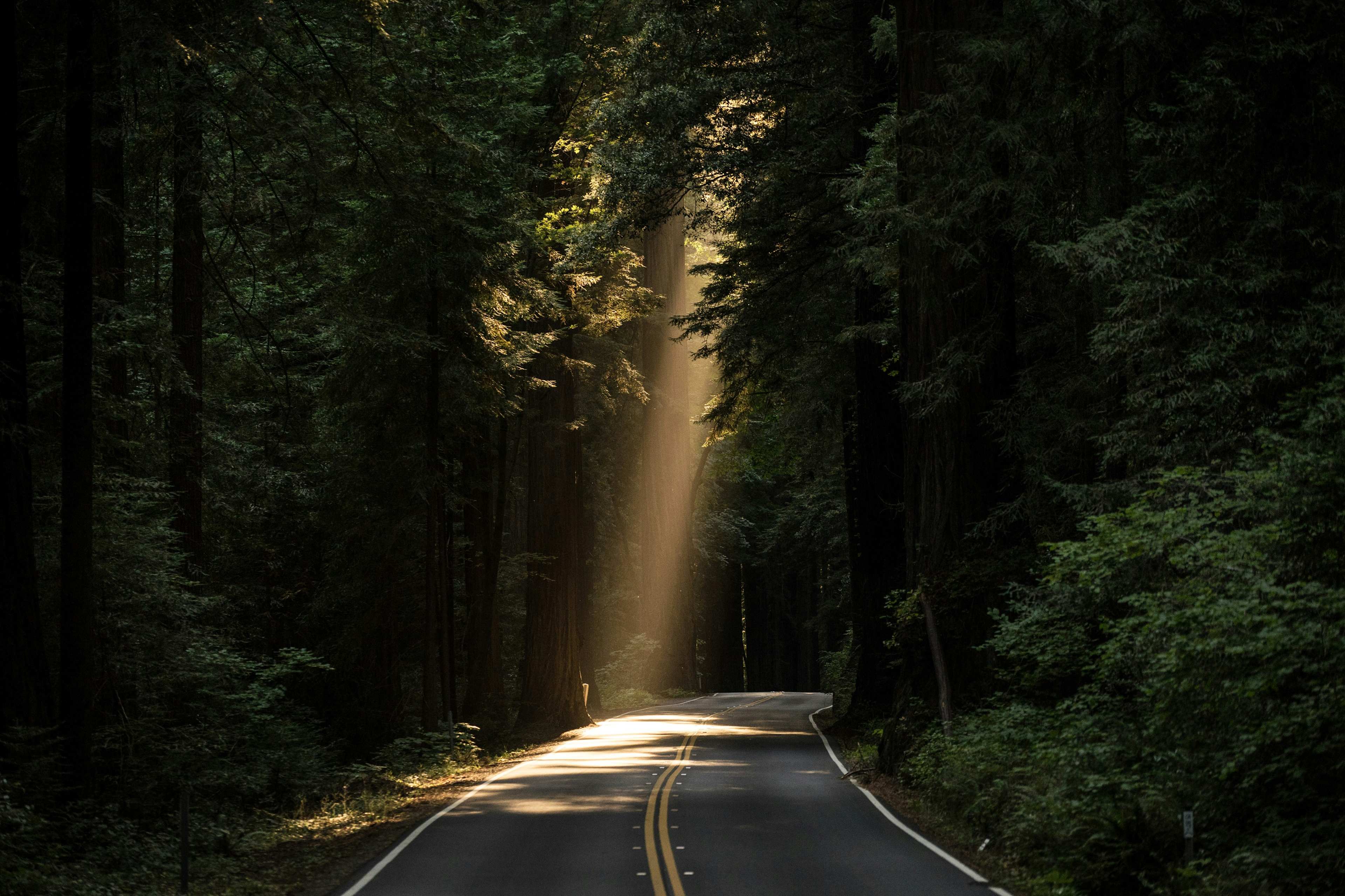light coming in on a dark road