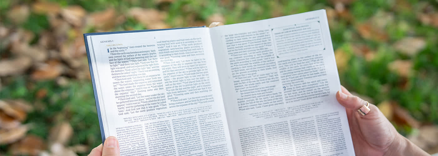 Take a Look Inside - See a Sample