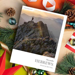 Storyteller Hebrews Bible Study