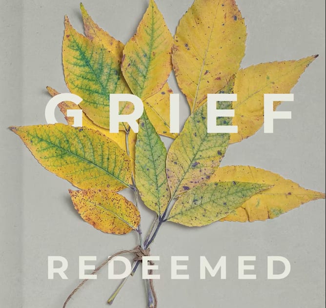 Grief Redeemed a book on grief by Stephen Silver and Foreword by Randy Alcorn.