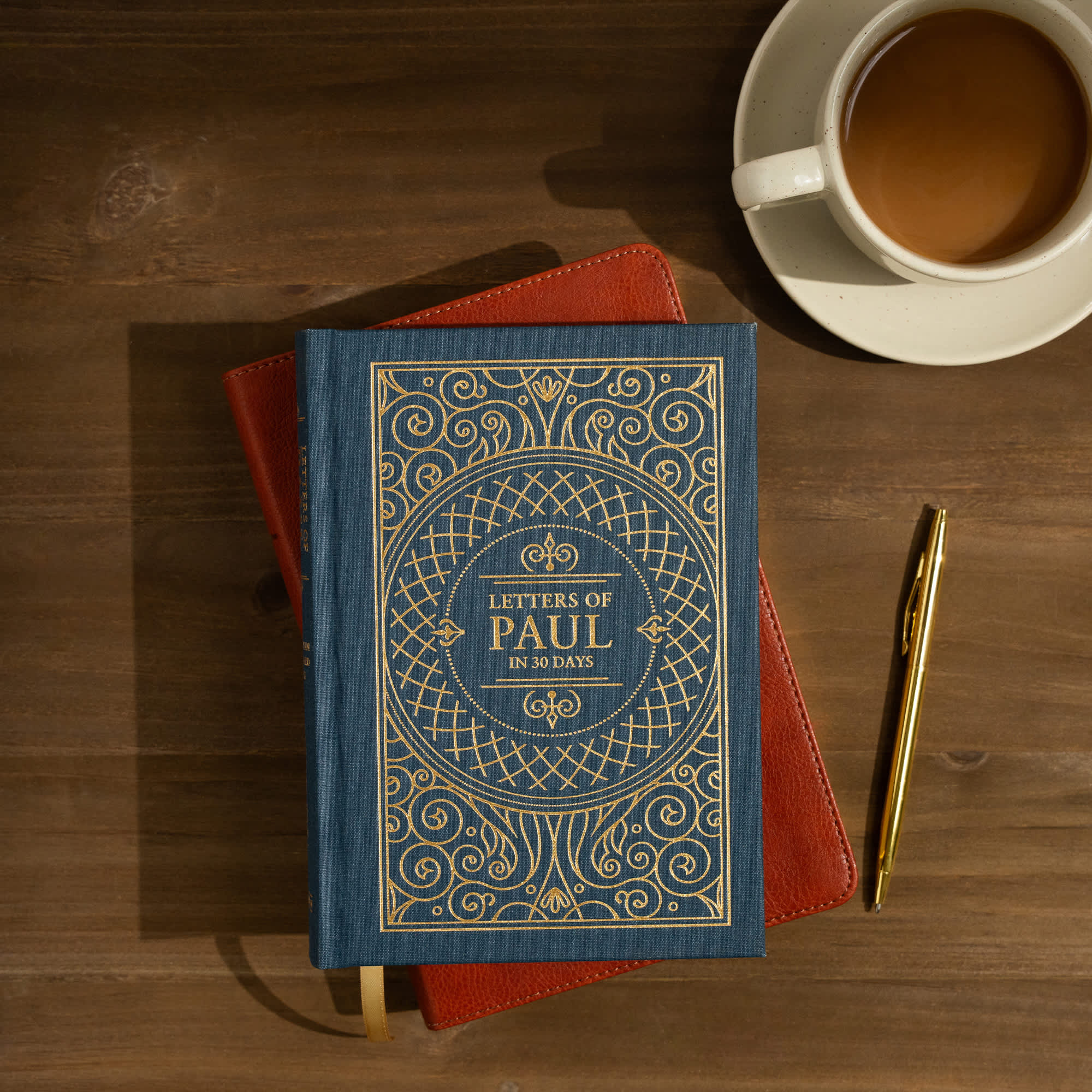 Letters of Paul in 30 Days - Learn More