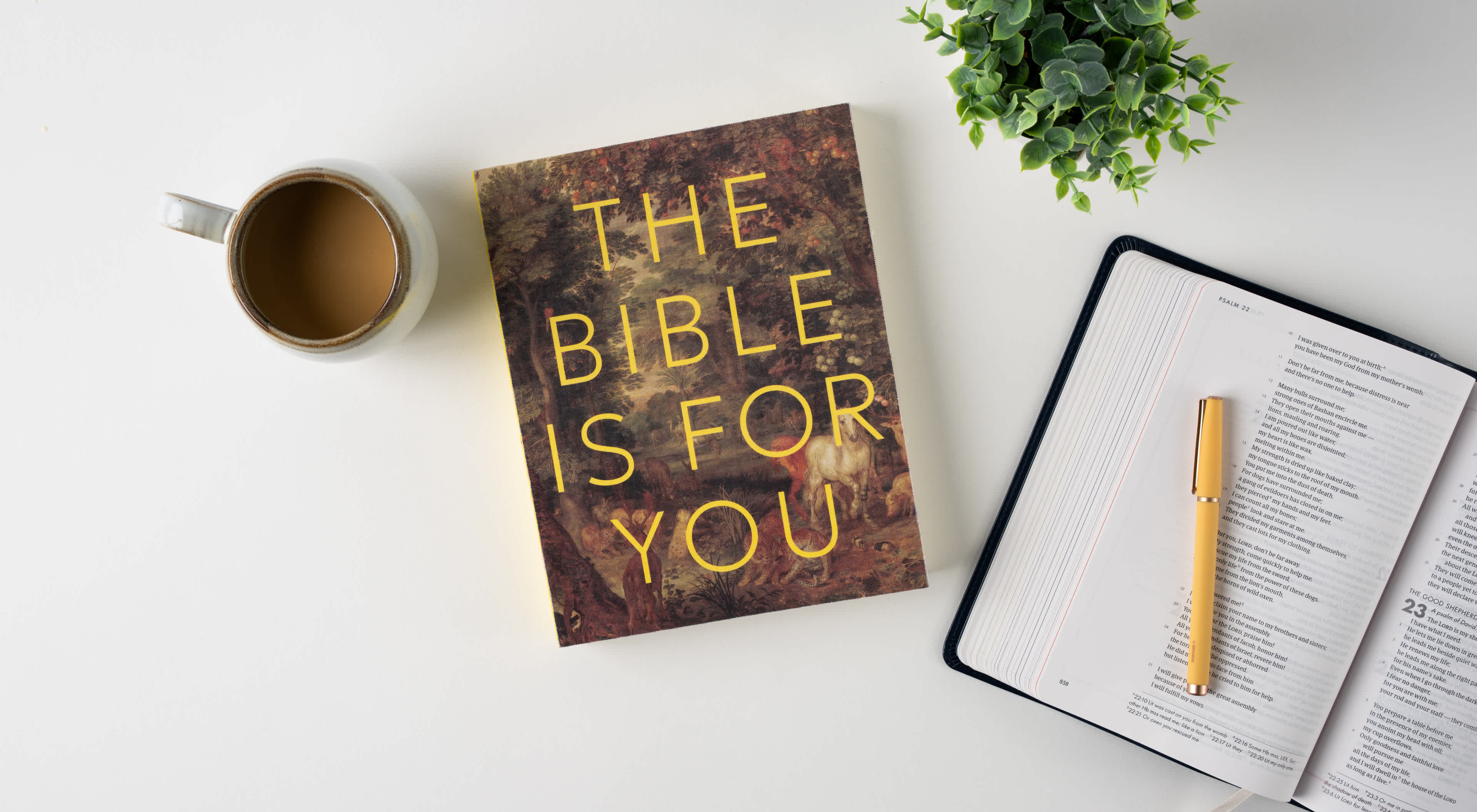 The Bible Is for You: A Devotional Journey Through Every Book of the Bible - Learn More About This Devotional