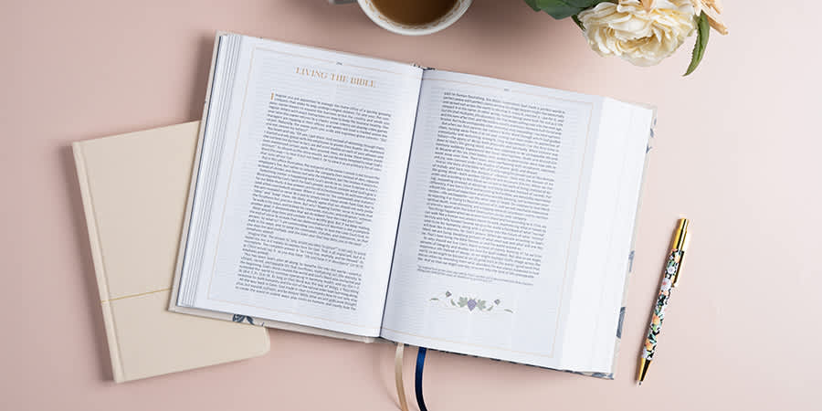 Take a Look Inside - See a Sample