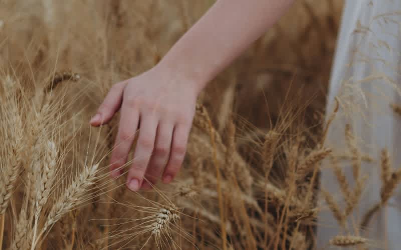 Girl in a field