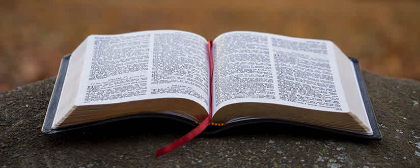 bible opened