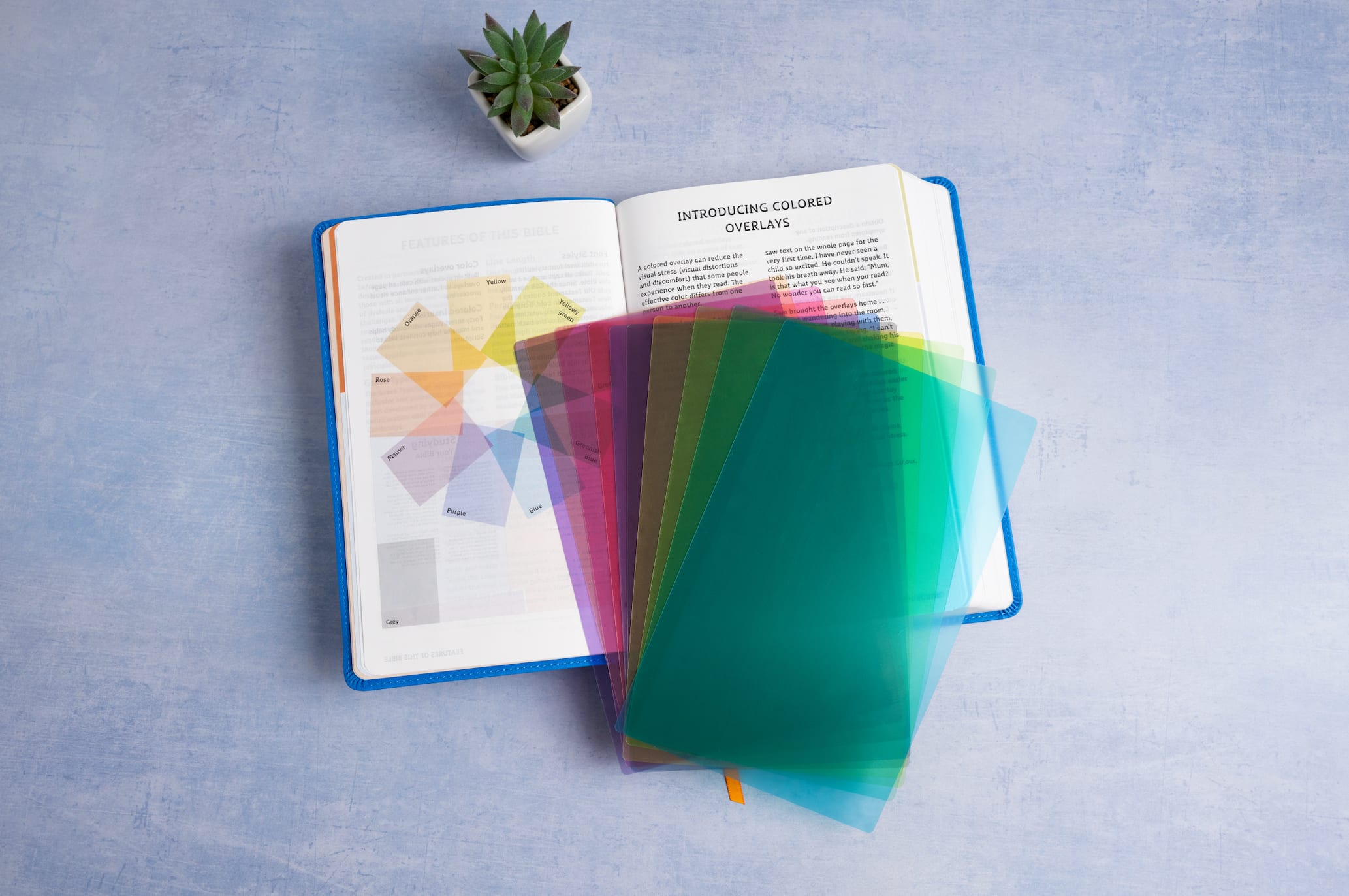 Bible with various color sheets for easier reading for dyslexia 