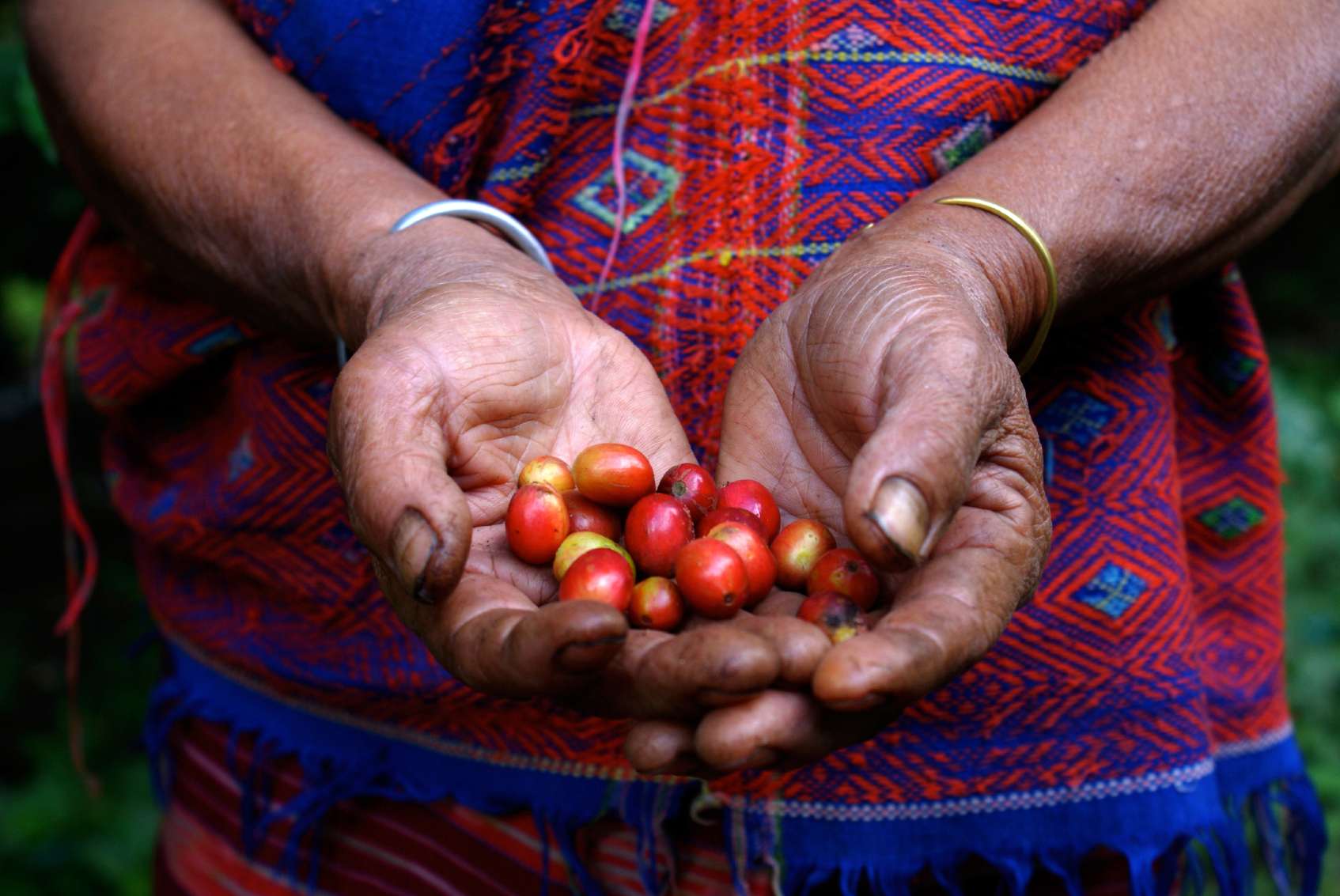 fair trade, fair tuesday, coffee, agriculture
