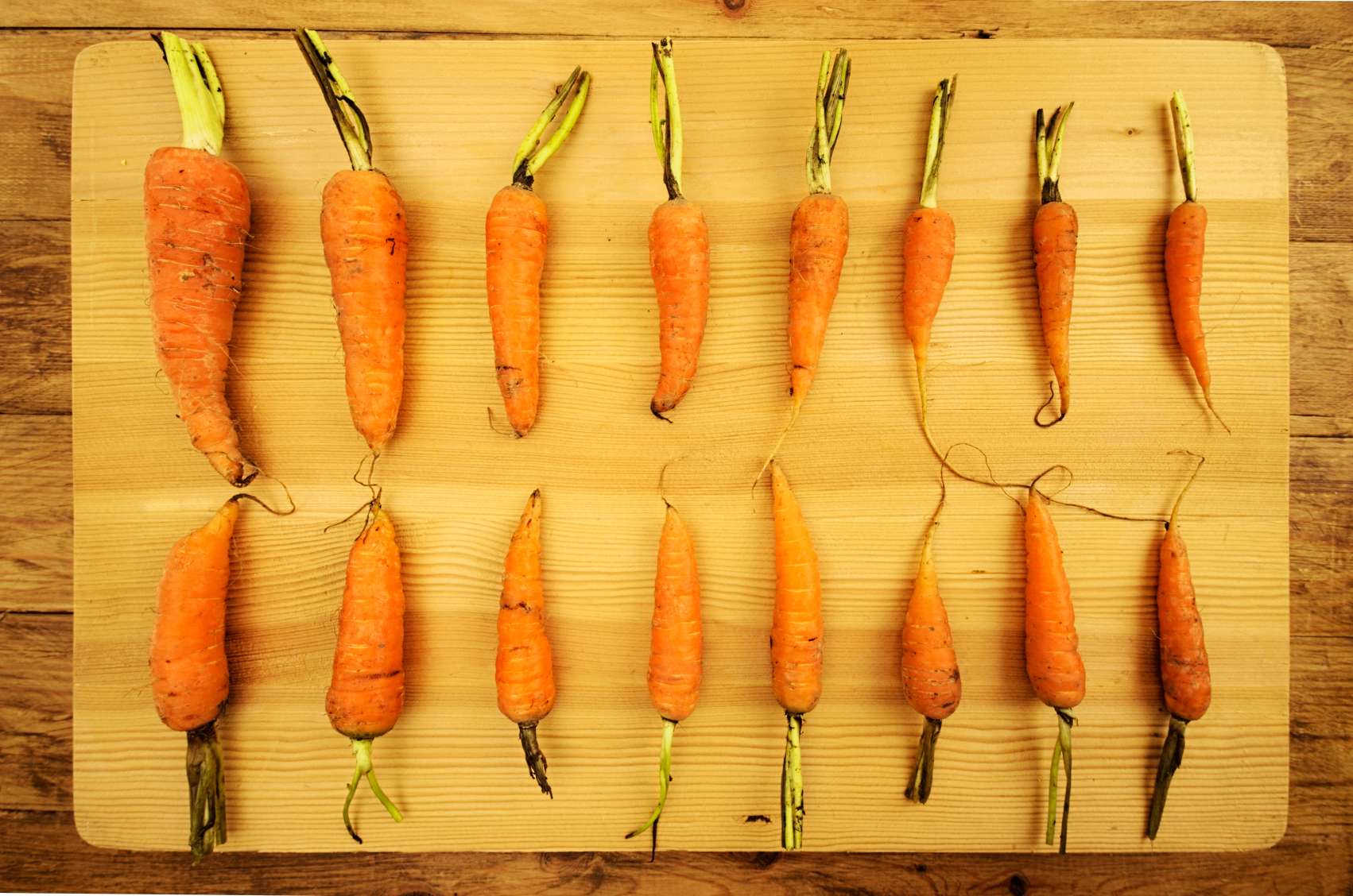 how to organize your food, organized food