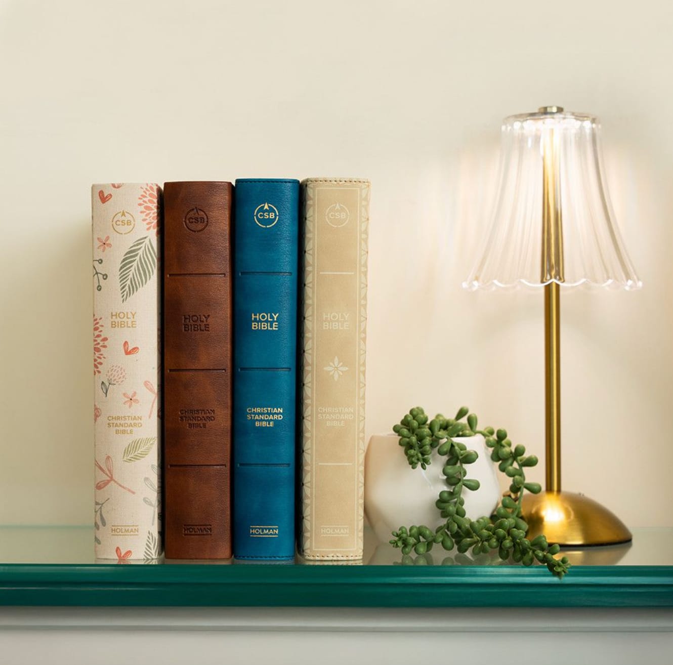 Other CSB Bibles to Read Through in a Year - Shop More Bibles