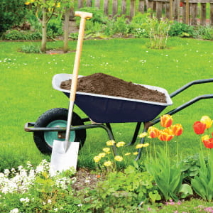 wheelbarrow and shovel