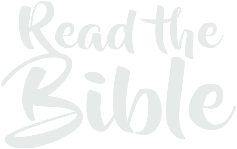 A New Digital Curriculum for Kids + Students