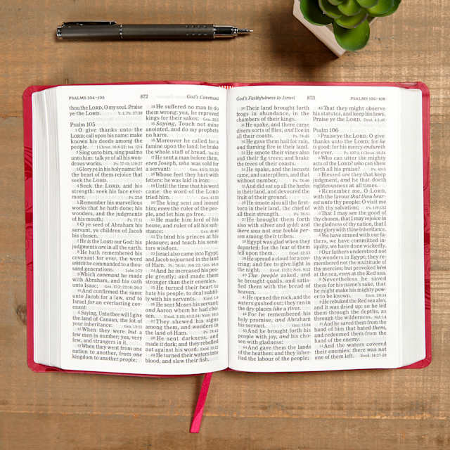 Large Print Bibles