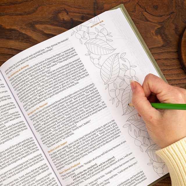 Journaling Bibles