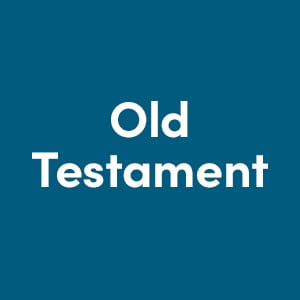 Old Testament Commentaries