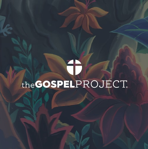 The Gospel Project