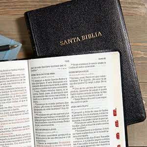 Biblias Letra Súper Gigante