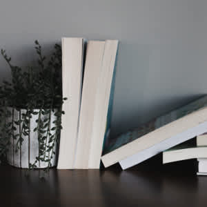 books on shelf