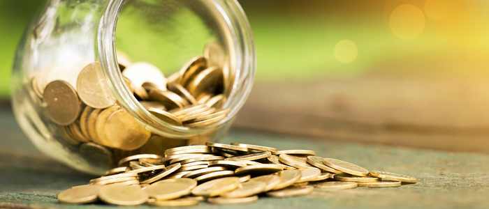 Finances and Career